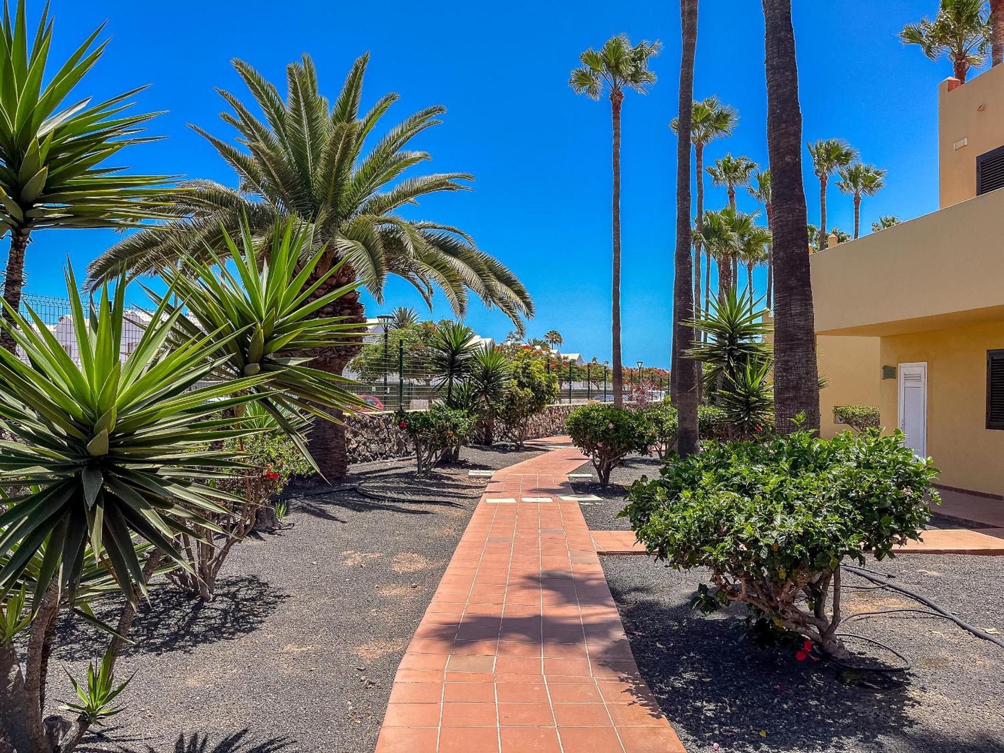 Apartamentos Oasis Royal Corralejo F314 Екстериор снимка
