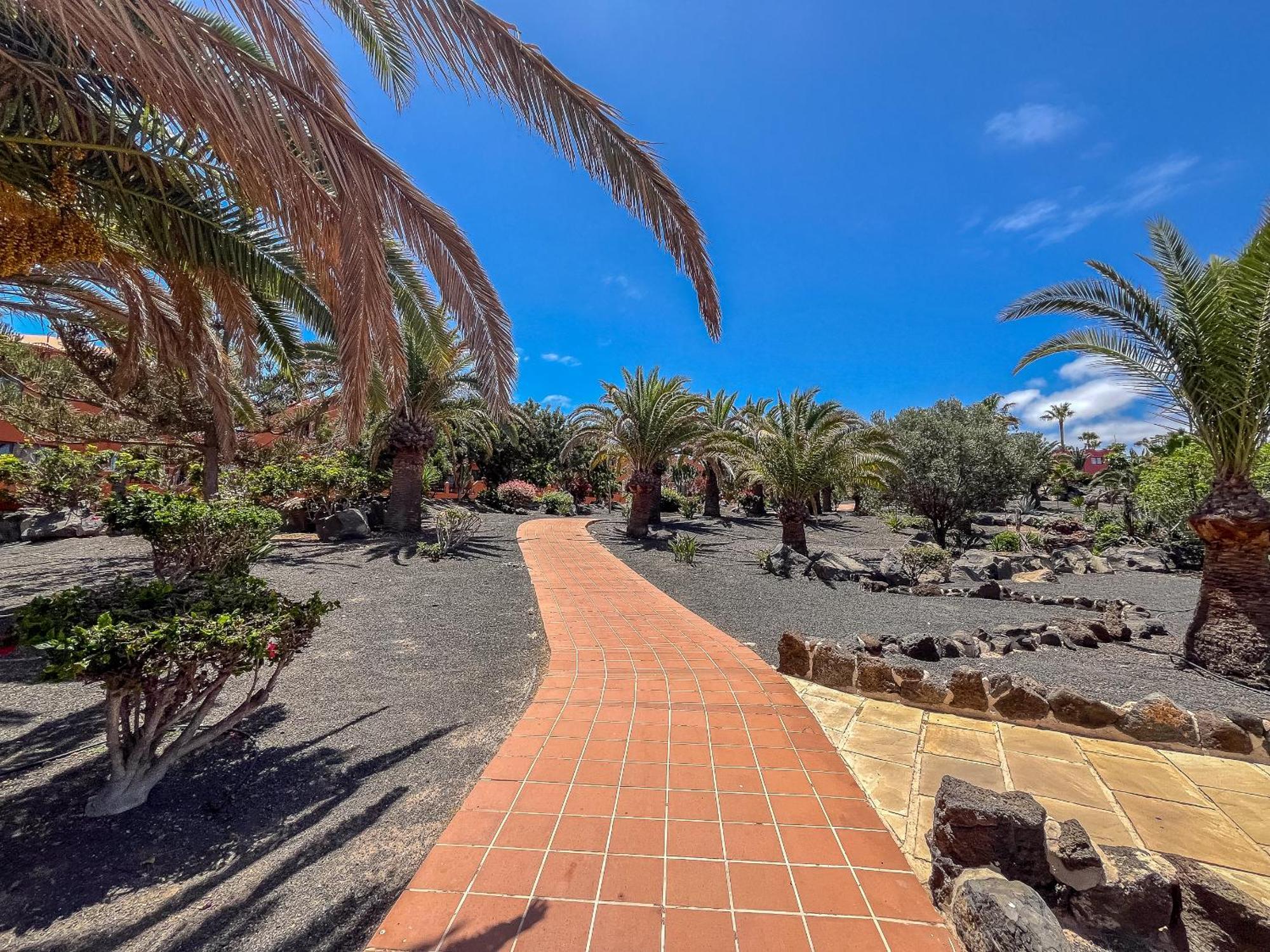 Apartamentos Oasis Royal Corralejo F314 Екстериор снимка