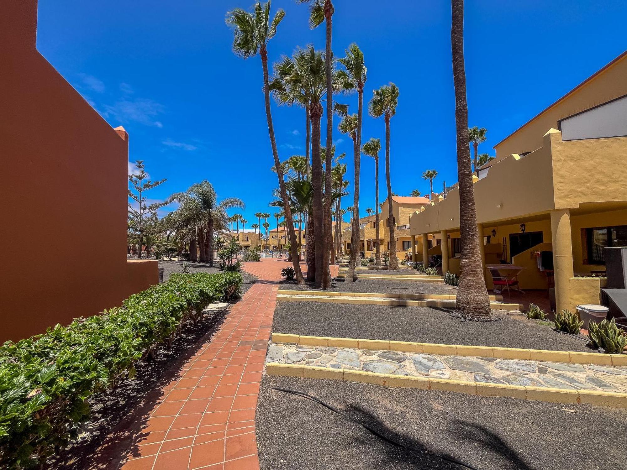 Apartamentos Oasis Royal Corralejo F314 Екстериор снимка