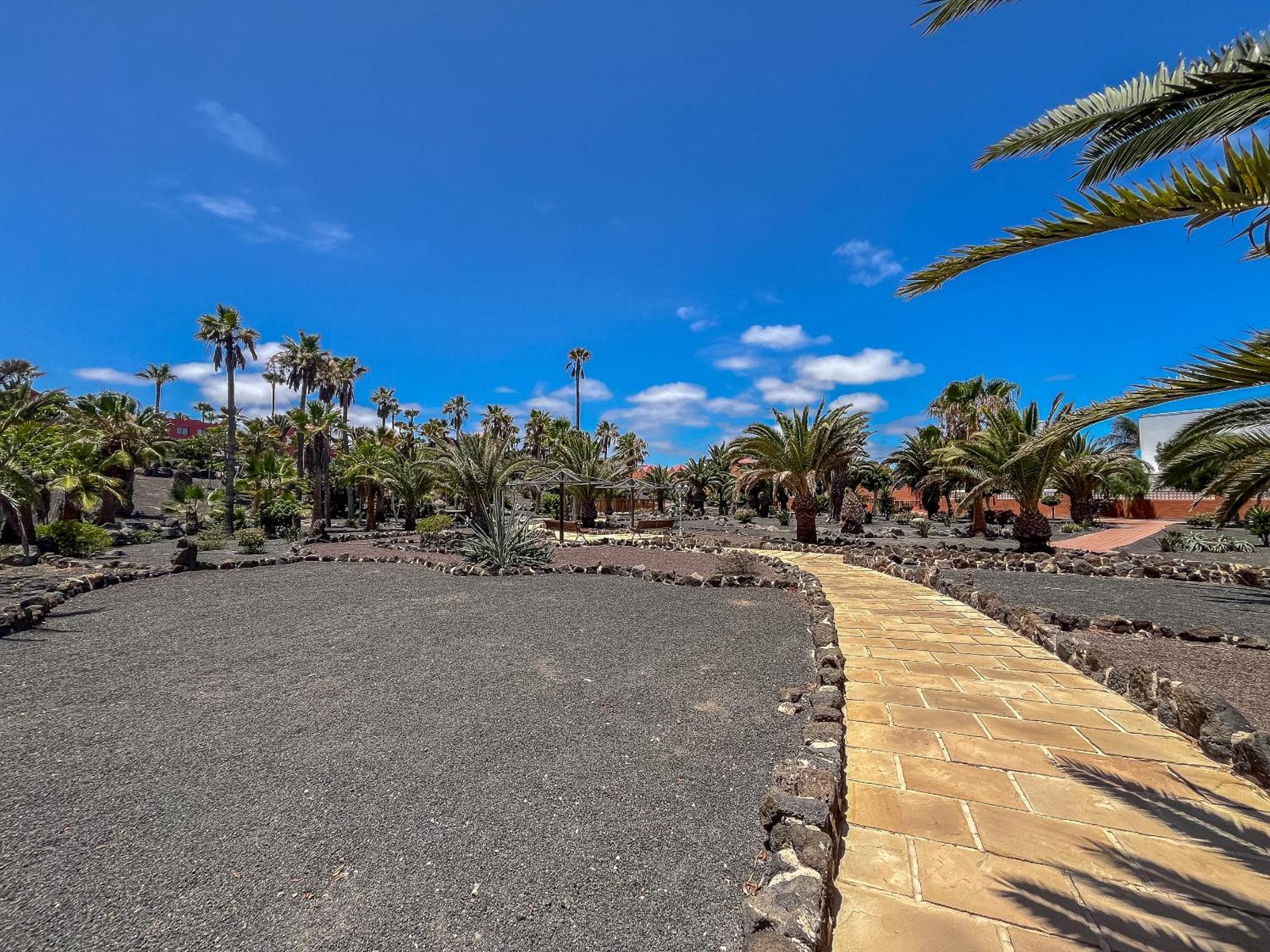 Apartamentos Oasis Royal Corralejo F314 Екстериор снимка