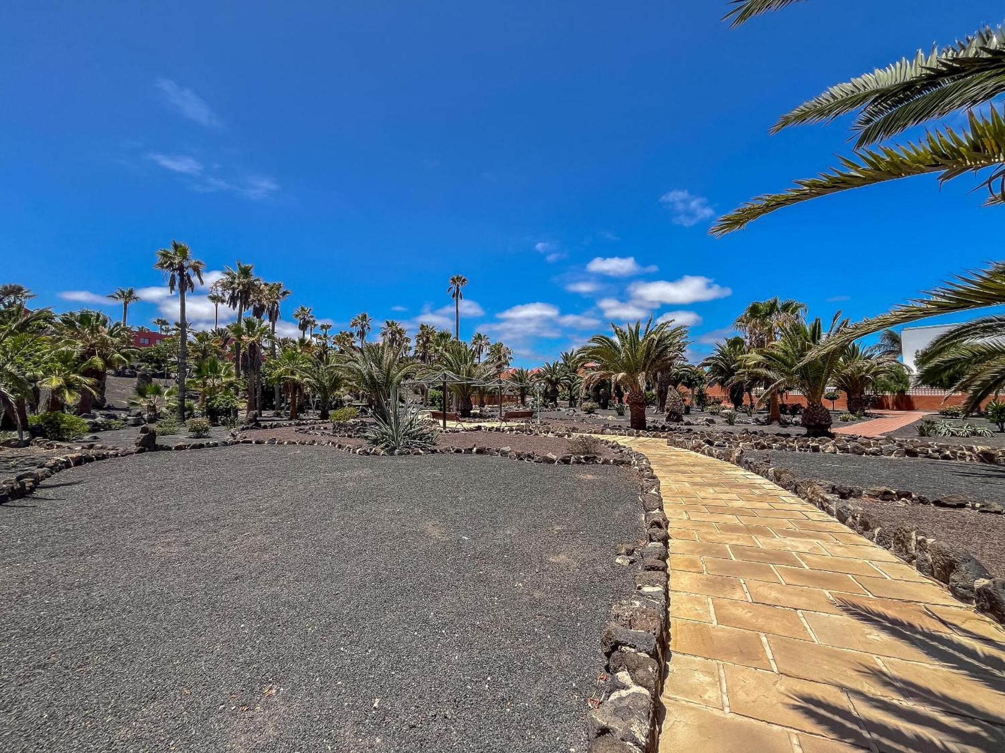Apartamentos Oasis Royal Corralejo F314 Екстериор снимка